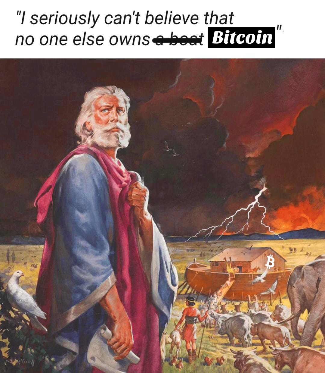 "I seriously can't believe that
no one else owns a beat Bitcoin
B
II