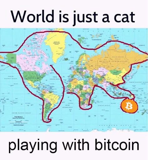 World is just a cat
*****
***** IN
F
****** **
www.***
playing with bitcoin