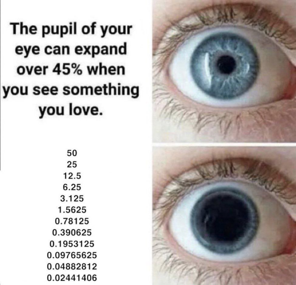 The pupil of your
eye can expand 7
over45% when 4. )
you see something |
you love.
25 A,12.5 S
3.125 N
1.5625 7 N
0.78125
0.390625
0.1953125
0.09765625
0.0488281 2
0.02441406
