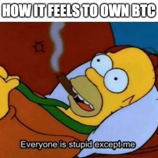 HOW IT FEELS TO OWN BTC
a
Everyone is stupid except me