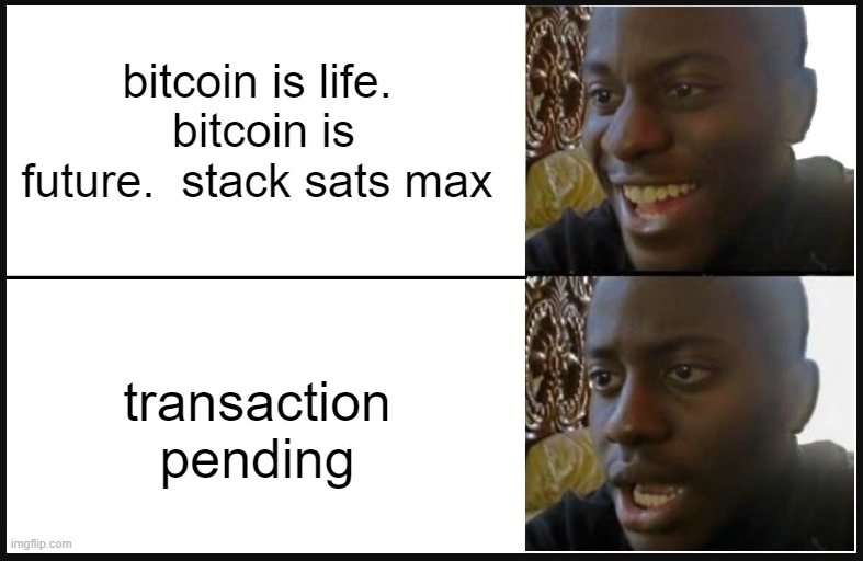 bitcoi n is l ife .
bitcoi n is
future. stack sats max
transaction
pending S