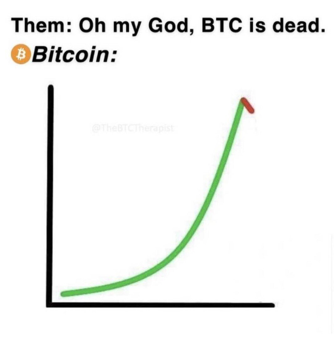 Them: Oh my God, BTC is dead.
Bitcoin