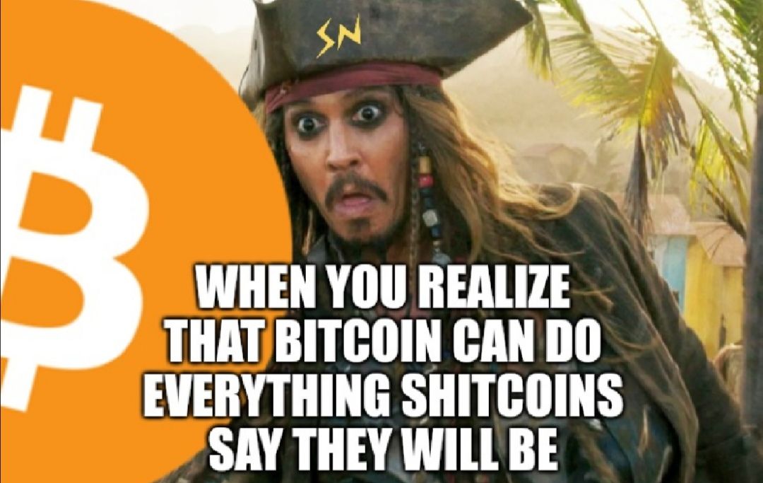 SN
WHEN YOU REALIZE
THAT BITCOIN CAN DO
EVERYTHING SHITCOINS
SAY THEY WILL BE