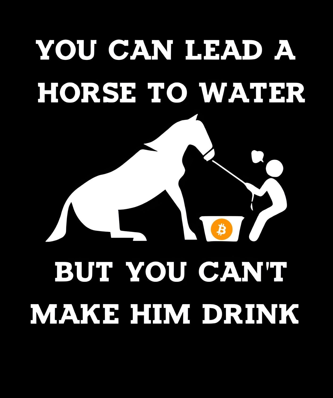 YOU CAN LEAD A
HORSE TO WATER
wBUT YOU CAN'T
MAKE HIM DRIN
