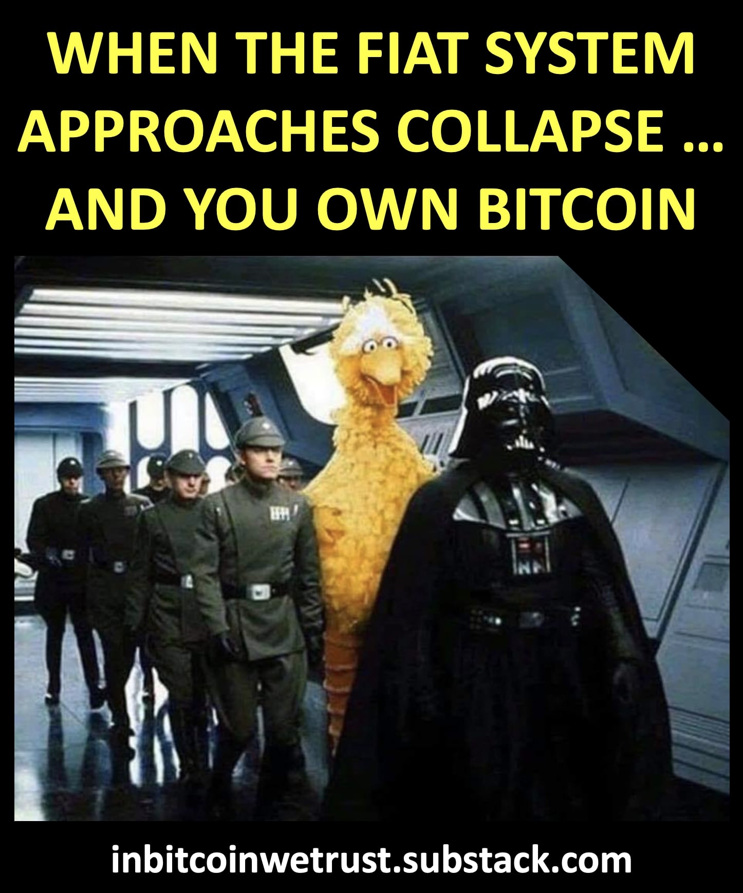 WHEN THE FIAT SYSTEM
APPROACHES COLLAPSE ...
AND YOU OWN BITCOIN
inbitcoinwetrust.substack.com