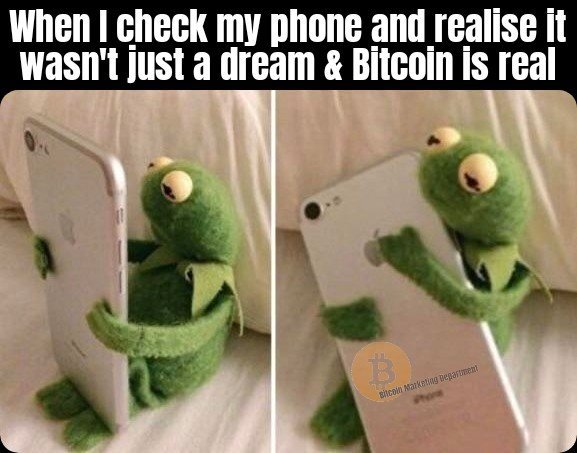 When | check my phone and realise it
wasn't just a dream & Bitcoin Is real