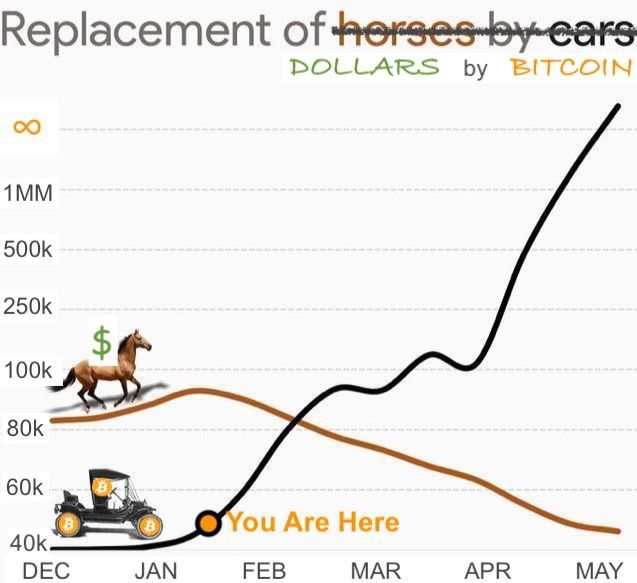 Replacement of herses by cars
DOLLARS by BITCOIN
1MM
500k
250k
100k
80k
60k
40k.
DEC
JAN
You Are Here
FEB
MAR
APR
MAY
