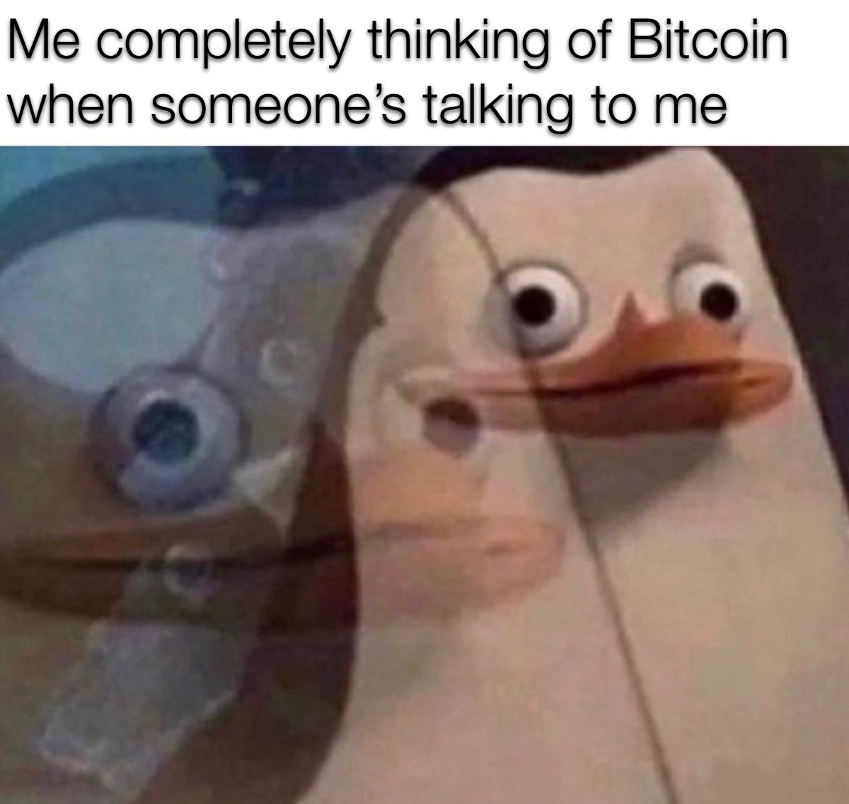 Me completely thinking of Bitcoin
when someone’s talking to m