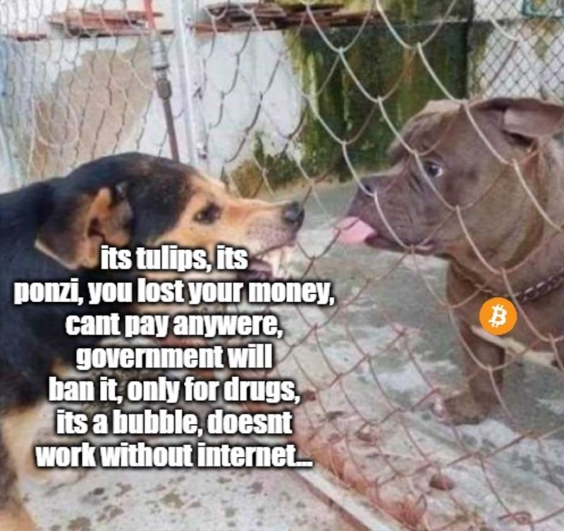 its tulips, its
ponzi, you lost your money,
cant pay anywere,
government will
ban it, only for drugs.
its a bubble, doesnt
work without internet.....
B