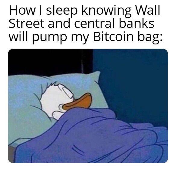 How | sleep knowing Wall
Street a nd centra l ba nks
will pump my Bitcoin bag