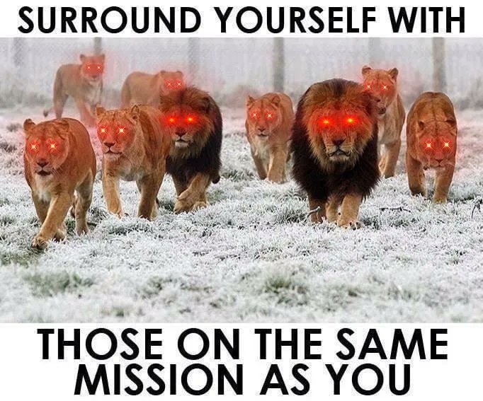 SURROUND YOURSELF WITH
STHOSE ON THE SAME
MISSION AS YO