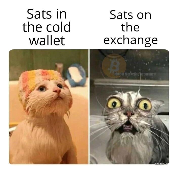 Sats in Sats on
the cold the
wallet exchange