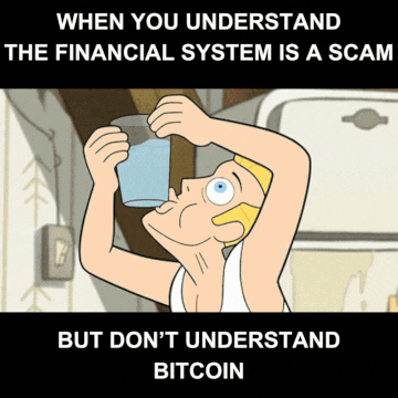 WHEN YOU UNDERSTAND
THE FINANCIAL SYSTEM IS A SCAM
(BUT DON'T UNDERSTAND
BITCOI