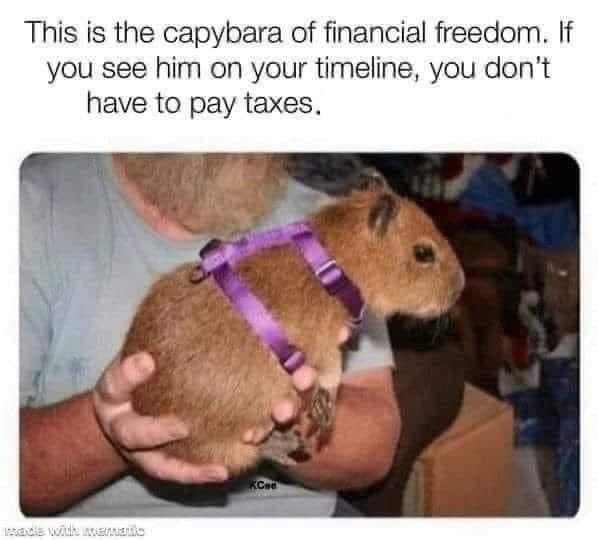 This is the capybara of financial freedom. If
you see him on your timeline, you don't
have to pay taxes.