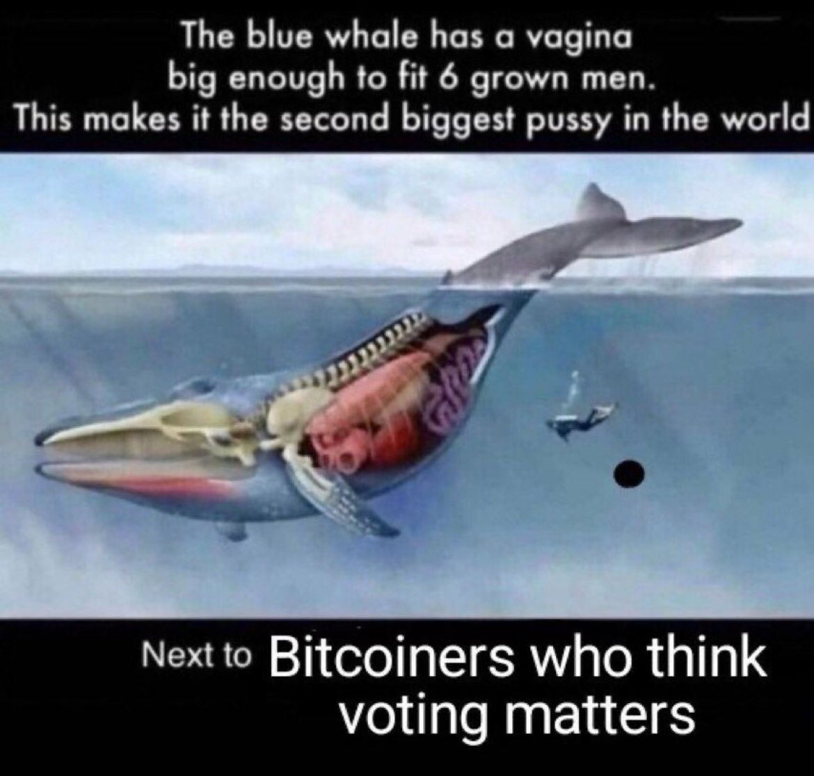 The blue whale has a vagina
big enough to fit 6 grown men.
This makes it the second biggest pussy in the world
Next to Bitcoiners who think
voting matter