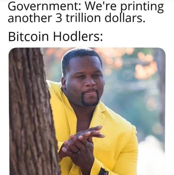 Government: We're pr nting
another 3 trillion dol lars.
Bitcoin Hodlers: