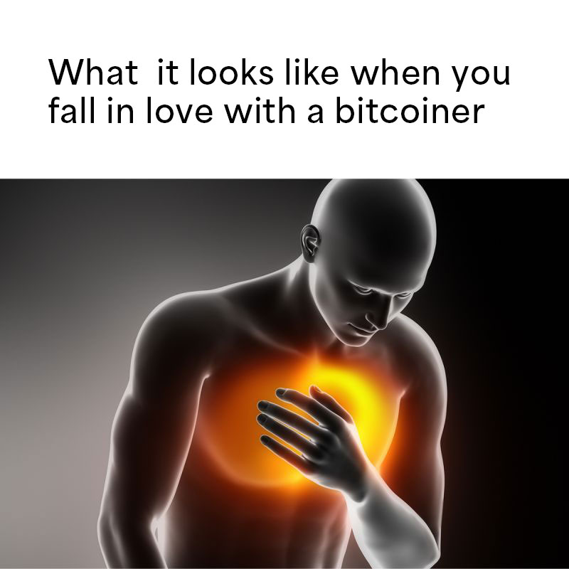 What it looks like when you
fall in love with a bitcoiner
